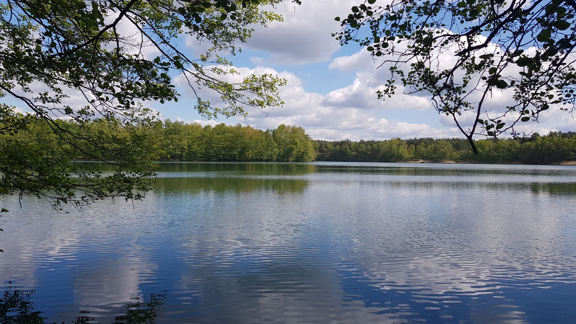 Ruhige Uferlandschaft am Großen Tonteich bei Königs Wusterhausen