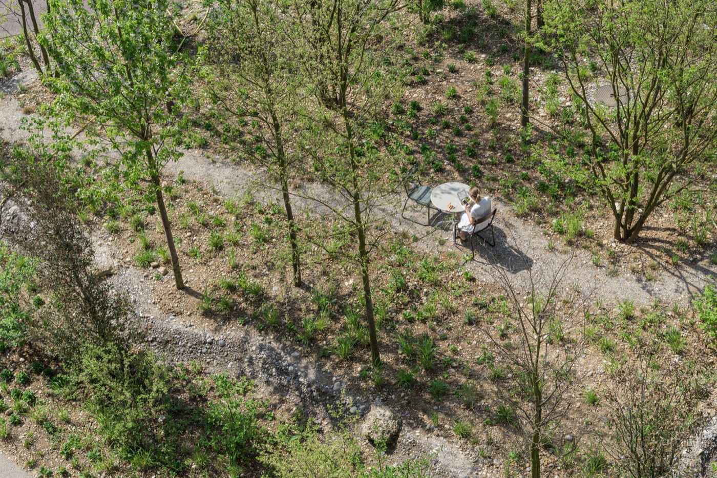 Waldweg und Wasserlandschaft in der Umgebung des Tonteichs