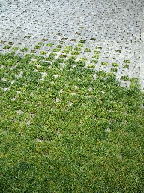 Naturnahe Umgebung mit Ruhe- und Erholungscharakter